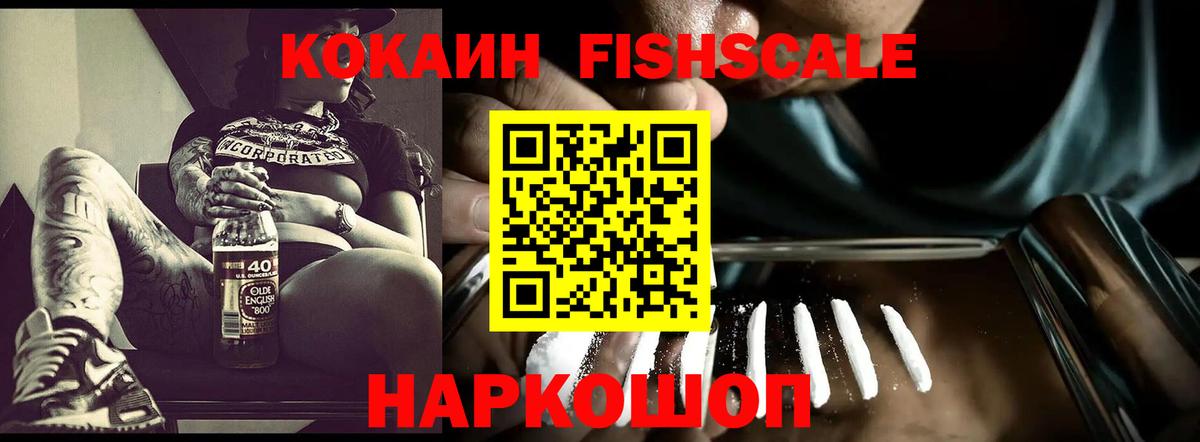 КОКАИН  Вход с VPN  Новозыбков  КОКАИН Эквадор  Кокаин Fish Scale 