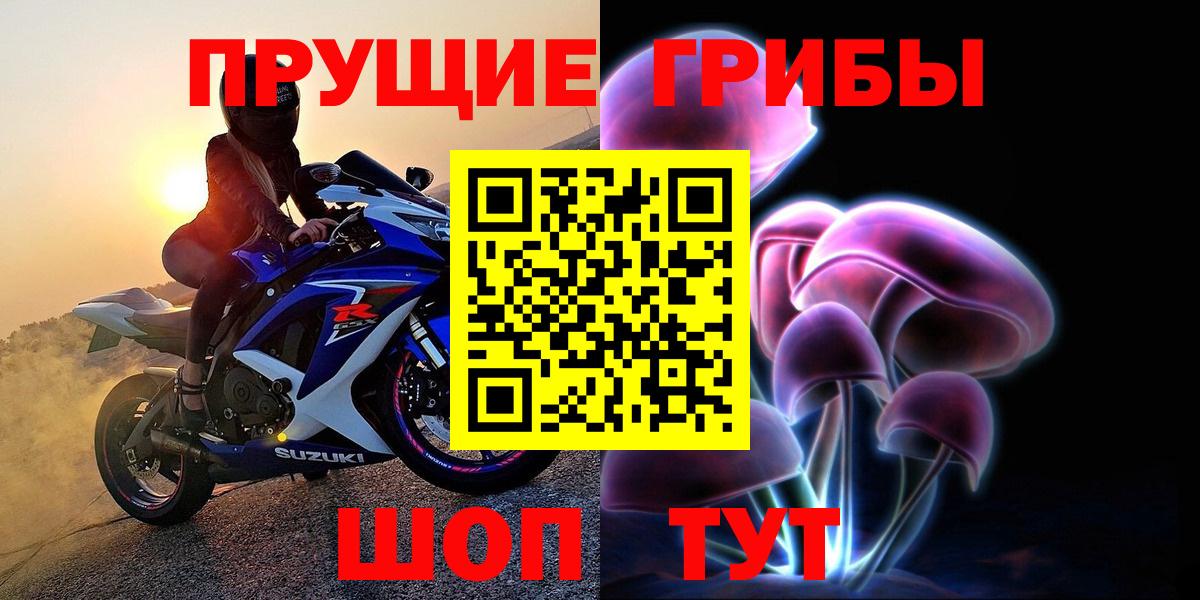 Псилоцибиновые грибы ЛСД Новозыбков