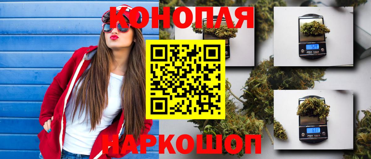 Бошки марихуана конопля  Марихуана SATIVA & INDICA  Канабис OG Kush  Новозыбков  Марихуана LSD WEED  Вход с VPN 
